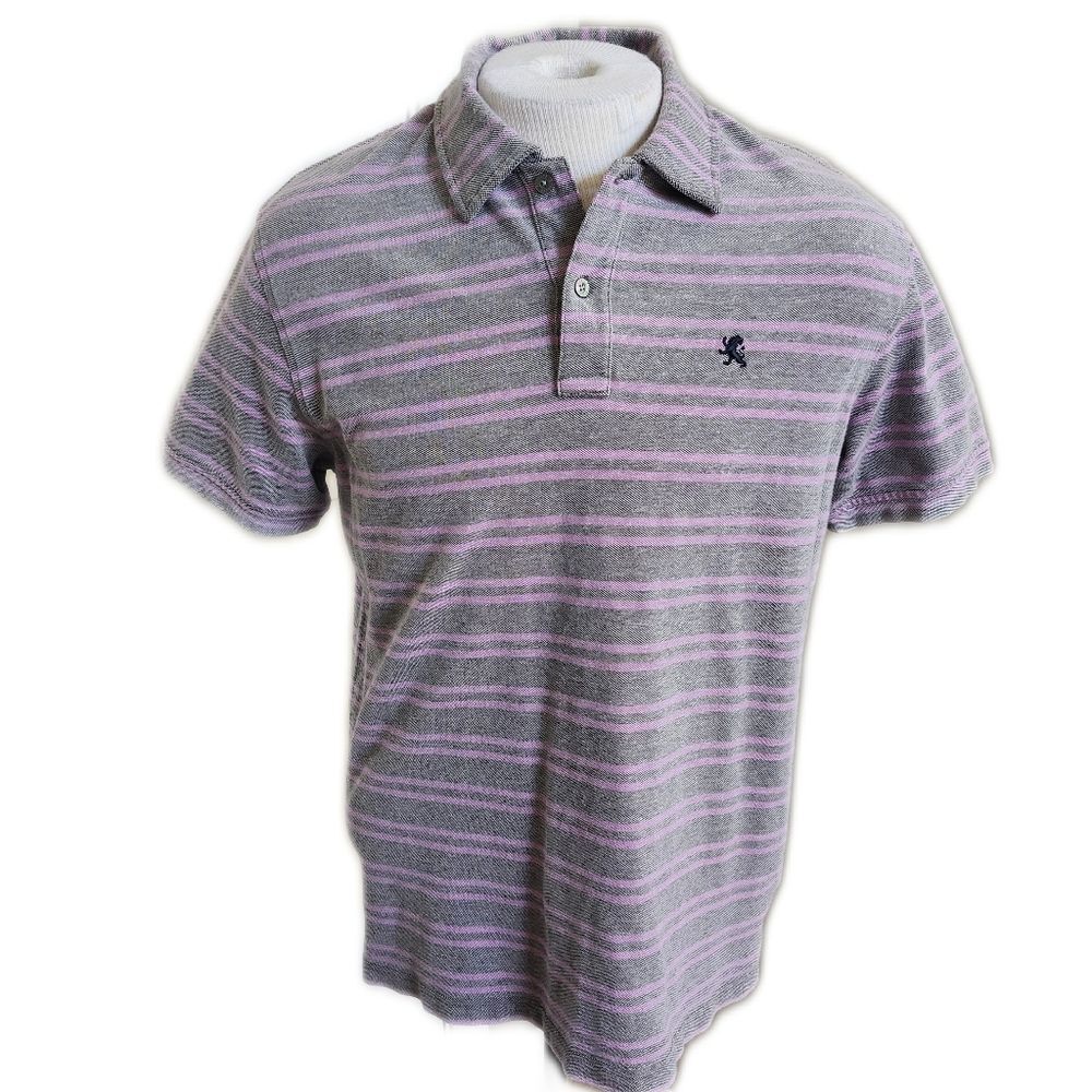 Express Lavender & Gray Striped Polo Shirt, Spring Easter Summer Golf, L
